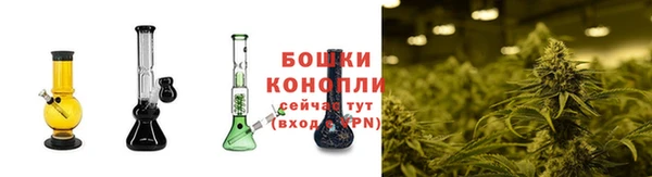 трава Каменногорск