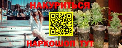 индика Пушкино