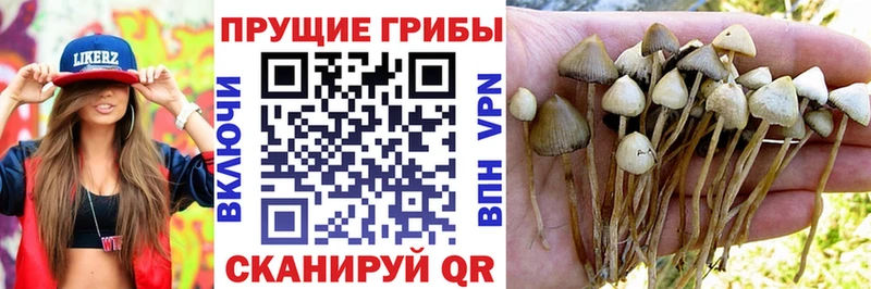Галлюциногенные грибы ЛСД  Шахты 