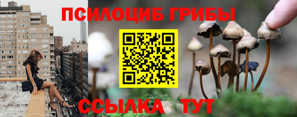 Псилоцибиновые грибы Magic Shrooms Шахты